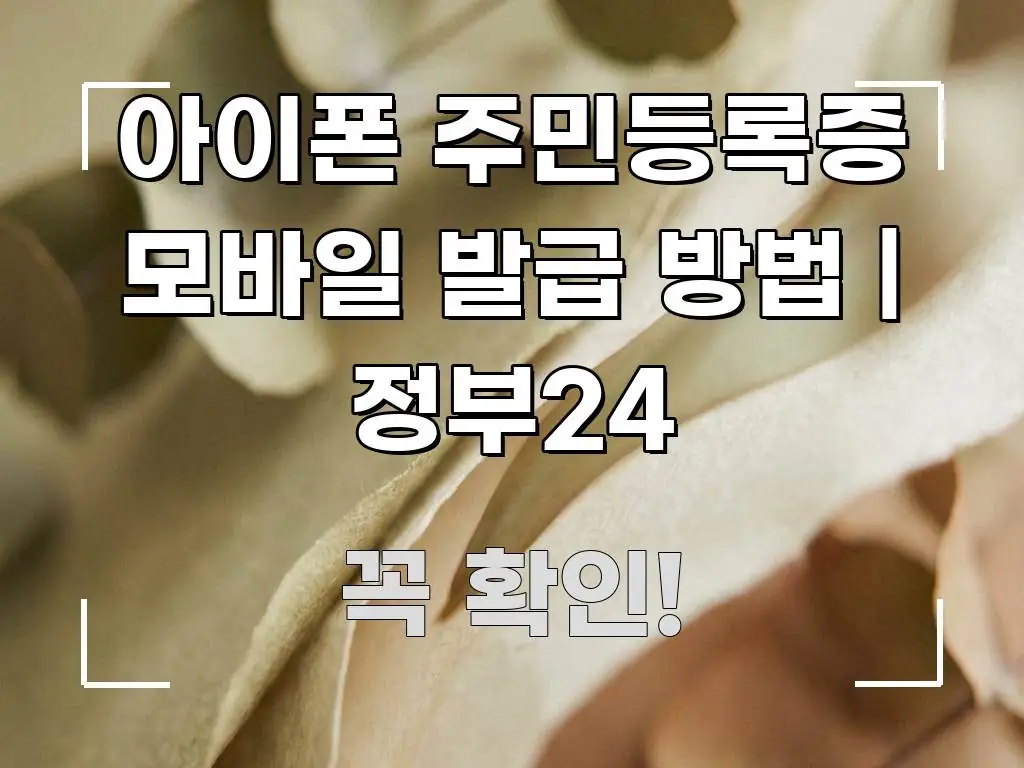 아이폰 주민등록증 모바일 발급 방법 | 정부24 주요 흐름을 설명한 텍스트 포스터 이미지 - 설명을 돕는 이미지